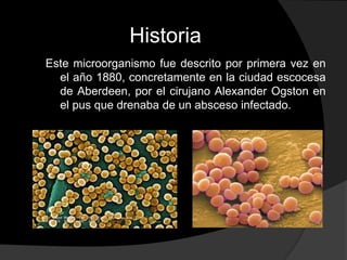 Historia
Este microorganismo fue descrito por primera vez en
el año 1880, concretamente en la ciudad escocesa
de Aberdeen, por el cirujano Alexander Ogston en
el pus que drenaba de un absceso infectado.
 