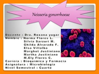 Neisseria gonorrhoeae
 