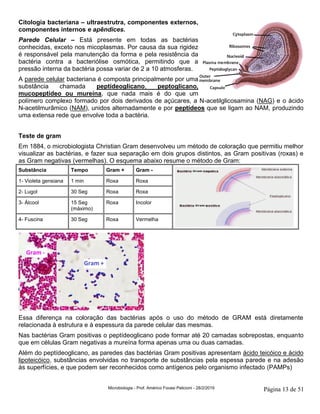 Microbiologia - Prof. Américo Focesi Pelicioni - 28/2/2019 Página 13 de 51
Citologia bacteriana – ultraestrutra, componentes externos,
componentes internos e apêndices.
Parede Celular – Está presente em todas as bactérias
conhecidas, exceto nos micoplasmas. Por causa da sua rigidez
é responsável pela manutenção da forma e pela resistência da
bactéria contra a bacteriólise osmótica, permitindo que a
pressão interna da bactéria possa variar de 2 a 10 atmosferas.
A parede celular bacteriana é composta principalmente por uma
substância chamada peptídeoglicano, peptoglicano,
mucopeptídeo ou mureína, que nada mais é do que um
polímero complexo formado por dois derivados de açúcares, a N-acetilglicosamina (NAG) e o ácido
N-acetilmurâmico (NAM), unidos alternadamente e por peptídeos que se ligam ao NAM, produzindo
uma extensa rede que envolve toda a bactéria.
Teste de gram
Em 1884, o microbiologista Christian Gram desenvolveu um método de coloração que permitiu melhor
visualizar as bactérias, e fazer sua separação em dois grupos distintos, as Gram positivas (roxas) e
as Gram negativas (vermelhas). O esquema abaixo resume o método de Gram:
Substância Tempo Gram + Gram -
1- Violeta gensiana 1 min Roxa Roxa
2- Lugol 30 Seg Roxa Roxa
3- Álcool 15 Seg
(máximo)
Roxa Incolor
4- Fuscina 30 Seg Roxa Vermelha
Essa diferença na coloração das bactérias após o uso do método de GRAM está diretamente
relacionada à estrutura e à espessura da parede celular das mesmas.
Nas bactérias Gram positivas o peptídeoglicano pode formar até 20 camadas sobrepostas, enquanto
que em células Gram negativas a mureína forma apenas uma ou duas camadas.
Além do peptídeoglicano, as paredes das bactérias Gram positivas apresentam ácido teicóico e ácido
lipoteicóico, substâncias envolvidas no transporte de substâncias pela espessa parede e na adesão
às superfícies, e que podem ser reconhecidos como antígenos pelo organismo infectado (PAMPs)
 