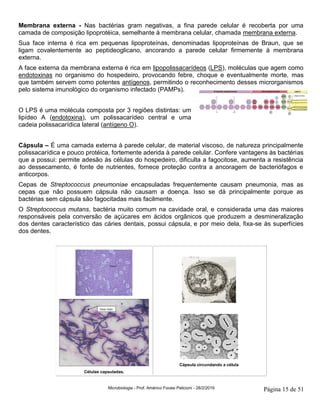 Microbiologia - Prof. Américo Focesi Pelicioni - 28/2/2019 Página 15 de 51
Membrana externa - Nas bactérias gram negativas, a fina parede celular é recoberta por uma
camada de composição lipoprotéica, semelhante à membrana celular, chamada membrana externa.
Sua face interna é rica em pequenas lipoproteínas, denominadas lipoproteínas de Braun, que se
ligam covalentemente ao peptideoglicano, ancorando a parede celular firmemente à membrana
externa.
A face externa da membrana externa é rica em lipopolissacarídeos (LPS), moléculas que agem como
endotoxinas no organismo do hospedeiro, provocando febre, choque e eventualmente morte, mas
que também servem como potentes antígenos, permitindo o reconhecimento desses microrganismos
pelo sistema imunológico do organismo infectado (PAMPs).
O LPS é uma molécula composta por 3 regiões distintas: um
lipídeo A (endotoxina), um polissacarídeo central e uma
cadeia polissacarídica lateral (antígeno O).
Cápsula – É uma camada externa à parede celular, de material viscoso, de natureza principalmente
polissacarídica e pouco protéica, fortemente aderida à parede celular. Confere vantagens às bactérias
que a possui: permite adesão às células do hospedeiro, dificulta a fagocitose, aumenta a resistência
ao dessecamento, é fonte de nutrientes, fornece proteção contra a ancoragem de bacteriófagos e
anticorpos.
Cepas de Streptococcus pneumoniae encapsuladas frequentemente causam pneumonia, mas as
cepas que não possuem cápsula não causam a doença. Isso se dá principalmente porque as
bactérias sem cápsula são fagocitadas mais facilmente.
O Streptococcus mutans, bactéria muito comum na cavidade oral, e considerada uma das maiores
responsáveis pela conversão de açúcares em ácidos orgânicos que produzem a desmineralização
dos dentes característico das cáries dentais, possui cápsula, e por meio dela, fixa-se às superfícies
dos dentes.
Células capsuladas.
Cápsula circundando a célula
 