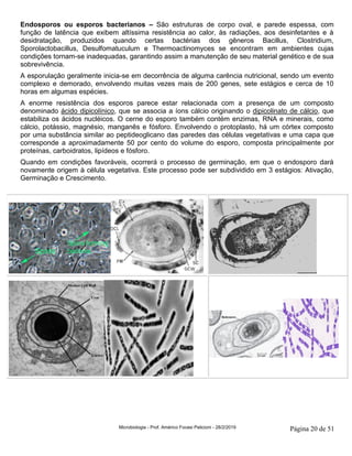 Microbiologia - Prof. Américo Focesi Pelicioni - 28/2/2019 Página 20 de 51
Endosporos ou esporos bacterianos – São estruturas de corpo oval, e parede espessa, com
função de latência que exibem altíssima resistência ao calor, às radiações, aos desinfetantes e à
desidratação, produzidos quando certas bactérias dos gêneros Bacillus, Clostridium,
Sporolactobacillus, Desulfomatuculum e Thermoactinomyces se encontram em ambientes cujas
condições tornam-se inadequadas, garantindo assim a manutenção de seu material genético e de sua
sobrevivência.
A esporulação geralmente inicia-se em decorrência de alguma carência nutricional, sendo um evento
complexo e demorado, envolvendo muitas vezes mais de 200 genes, sete estágios e cerca de 10
horas em algumas espécies.
A enorme resistência dos esporos parece estar relacionada com a presença de um composto
denominado ácido dipicolínico, que se associa a íons cálcio originando o dipicolinato de cálcio, que
estabiliza os ácidos nucléicos. O cerne do esporo também contém enzimas, RNA e minerais, como
cálcio, potássio, magnésio, manganês e fósforo. Envolvendo o protoplasto, há um córtex composto
por uma substância similar ao peptideoglicano das paredes das células vegetativas e uma capa que
corresponde a aproximadamente 50 por cento do volume do esporo, composta principalmente por
proteínas, carboidratos, lipídeos e fósforo.
Quando em condições favoráveis, ocorrerá o processo de germinação, em que o endosporo dará
novamente origem à célula vegetativa. Este processo pode ser subdividido em 3 estágios: Ativação,
Germinação e Crescimento.
 