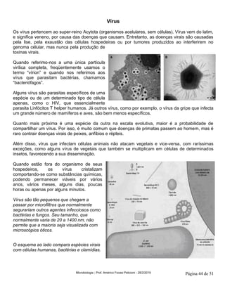 Microbiologia - Prof. Américo Focesi Pelicioni - 28/2/2019 Página 44 de 51
Vírus
Os vírus pertencem ao super-reino Acytota (organismos acelulares, sem células). Vírus vem do latim,
e significa veneno, por causa das doenças que causam. Entretanto, as doenças virais são causadas
pela lise, pela exaustão das células hospedeiras ou por tumores produzidos ao interferirem no
genoma célular, mas nunca pela produção de
toxinas virais.
Quando referimo-nos a uma única partícula
virílica completa, freqüentemente usamos o
termo “vírion” e quando nos referimos aos
vírus que parasitam bactérias, chamamos
“bacteriófagos”.
Alguns vírus são parasitas específicos de uma
espécie ou de um determinado tipo de célula
apenas, como o HIV, que essencialmente
parasita Linfócitos T helper humanos. Já outros vírus, como por exemplo, o vírus da gripe que infecta
um grande número de mamíferos e aves, são bem menos específicos.
Quanto mais próxima é uma espécie da outra na escala evolutiva, maior é a probabilidade de
compartilhar um vírus. Por isso, é muito comum que doenças de primatas passem ao homem, mas é
raro contrair doenças virais de peixes, anfíbios e répteis.
Além disso, vírus que infectam células animais não atacam vegetais e vice-versa, com raríssimas
exceções, como alguns vírus de vegetais que também se multiplicam em células de determinados
insetos, favorecendo a sua disseminação.
Quando estão fora do organismo de seus
hospedeiros, os vírus cristalizam
comportando-se como substâncias químicas,
podendo permanecer viáveis por vários
anos, vários meses, alguns dias, poucas
horas ou apenas por alguns minutos.
Vírus são tão pequenos que chegam a
passar por microfiltros que normalmente
segurariam outros agentes infecciosos como
bactérias e fungos. Seu tamanho, que
normalmente varia de 20 a 1400 nm, não
permite que a maioria seja visualizada com
microscópios óticos.
O esquema ao lado compara espécies virais
com células humanas, bactérias e clamídias.
 