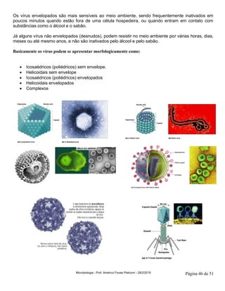 Microbiologia - Prof. Américo Focesi Pelicioni - 28/2/2019 Página 46 de 51
Os vírus envelopados são mais sensíveis ao meio ambiente, sendo frequentemente inativados em
poucos minutos quando estão fora de uma célula hospedeira, ou quando entram em contato com
substâncias como o álcool e o sabão.
Já alguns vírus não envelopados (desnudos), podem resistir no meio ambiente por várias horas, dias,
meses ou até mesmo anos, e não são inativados pelo álcool e pelo sabão.
Basicamente os vírus podem se apresentar morfologicamente como:
• Icosaédricos (poliédricos) sem envelope.
• Helicoidais sem envelope
• Icosaédricos (poliédricos) envelopados
• Helicoidais envelopados
• Complexos
 