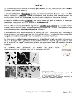 Microbiologia - Prof. Américo Focesi Pelicioni - 28/2/2019 Página 9 de 51
Bactérias
As bactérias são microrganismos unicelulares procariontes, ou seja, não possuem uma carioteca
protegendo seu material genético.
A maioria das bactérias é heterótrofa, ou seja, necessitam se alimentar de outros seres vivos. Mas
dessas, muitas são saprófitas, obtendo nutrientes do meio ambiente e de matéria orgânica em
decomposição. Outras são simbióticas, vivendo com seus hospedeiros, sem causar doenças.
Existem até mesmo bactérias autótrofas, que obtém energia por meio da oxidação de compostos
inorgânicos, como nitritos, amônio e sulfatos, ou por fotossíntese.
Porém, entre as bactérias heterótrofas, algumas são parasitas extracelulares, que causam doenças
quando infectam tecidos de seus hospedeiros (bactérias patogênicas), e outras, como as Clamídias e
as Rickettsias, exercem parasitismo intracelular obrigatório.
A maioria das bactérias é invisível ao olho nu, medindo de 0,2 a 2 micrometros (m), entretanto, há
bactérias maiores, que podem medir até 800 micrometros (0,8 mm) e há recentes relatos de bactérias
que poderiam medir cerca de 0,05 micra (nanobactérias ou ultramicrobactérias).
As bactérias se reproduzem assexuadamente, por fissão binária simples, processo pelo qual uma
célula se divide por mitose, gerando duas células filhas idênticas à original. Algumas bactérias, além
de se reproduzir por mitose, podem formar esporos que germinam quando encontram um ambiente
adequado.
As bactérias são classificadas de acordo com suas formas:
tipicamente podem ser esféricas, cilíndricas ou espiraladas (Ao lado)
Diversidade das bactérias:
A, Pseudomonas aeruginosa,(bastonete flagelado); B,
Streptococcus aureos (esferas em cadeias);
C, Spirillum volutans, (espiral flagelado);
D, Chondromyces crocatus, (bastonete esporulado); E,
Chroococcus, (cianobactérias encapsuladas).
 