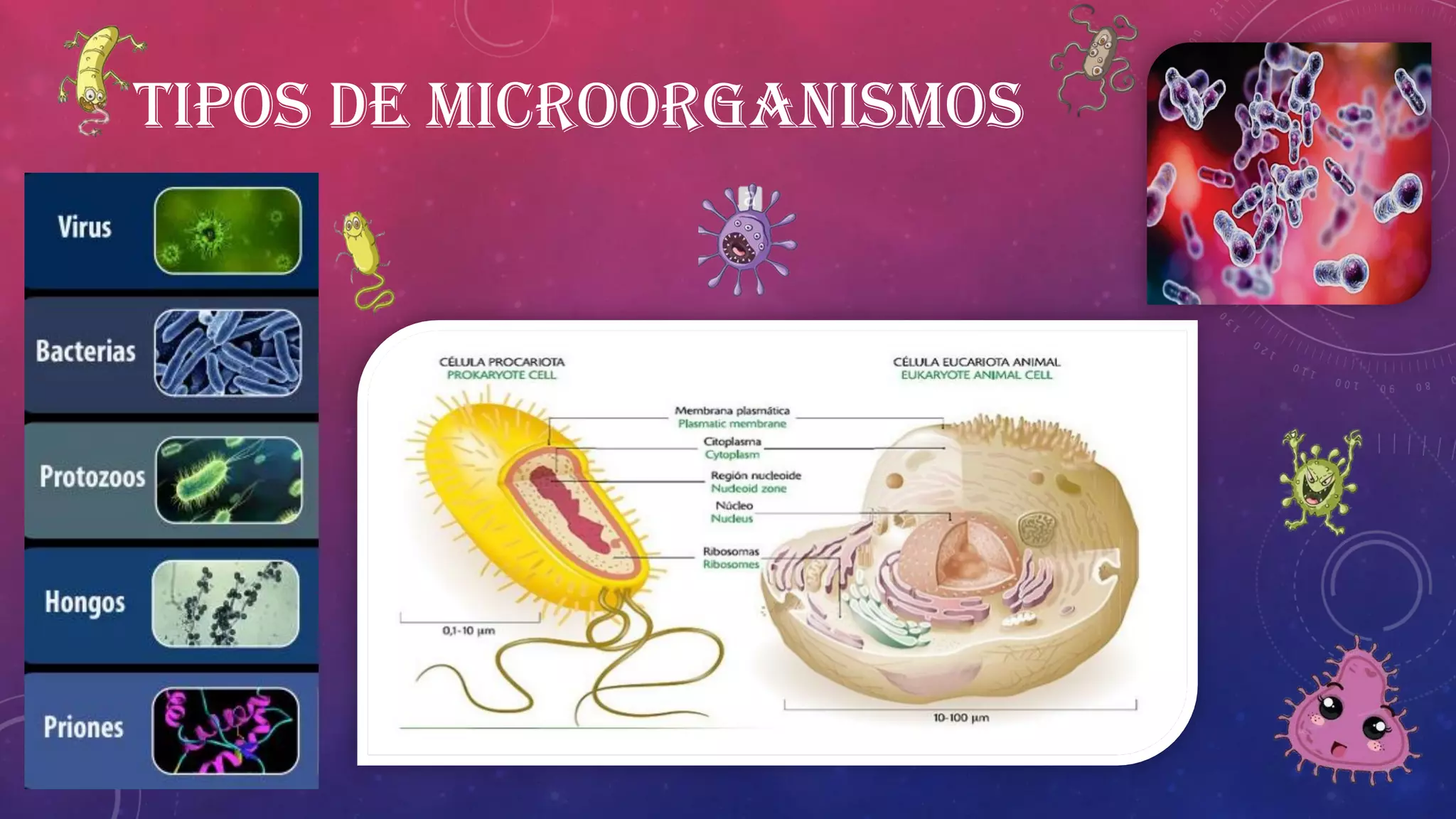 Microbiologia y Microorganismos | PPT