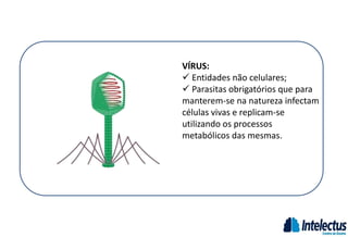 VÍRUS:
 Entidades não celulares;
 Parasitas obrigatórios que para
manterem-se na natureza infectam
células vivas e replicam-se
utilizando os processos
metabólicos das mesmas.
 
