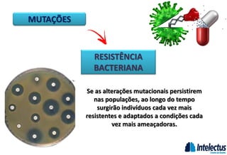 MUTAÇÕES
RESISTÊNCIA
BACTERIANA
Se as alterações mutacionais persistirem
nas populações, ao longo do tempo
surgirão indivíduos cada vez mais
resistentes e adaptados a condições cada
vez mais ameaçadoras.
 