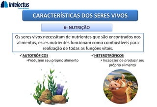 CARACTERÍSTICAS DOS SERES VIVOS
6- NUTRIÇÃO
Os seres vivos necessitam de nutrientes que são encontrados nos
alimentos, esses nutrientes funcionam como combustíveis para
realização de todas as funções vitais.
AUTOTRÓFICOS
•Produzem seu próprio alimento
HETEROTRÓFICOS
• Incapazes de produzir seu
próprio alimento
 