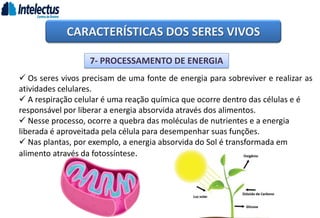 CARACTERÍSTICAS DOS SERES VIVOS
7- PROCESSAMENTO DE ENERGIA
 Os seres vivos precisam de uma fonte de energia para sobreviver e realizar as
atividades celulares.
 A respiração celular é uma reação química que ocorre dentro das células e é
responsável por liberar a energia absorvida através dos alimentos.
 Nesse processo, ocorre a quebra das moléculas de nutrientes e a energia
liberada é aproveitada pela célula para desempenhar suas funções.
 Nas plantas, por exemplo, a energia absorvida do Sol é transformada em
alimento através da fotossíntese.
 