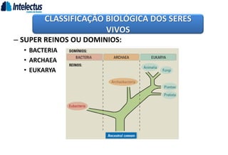 – SUPER REINOS OU DOMINIOS:
• BACTERIA
• ARCHAEA
• EUKARYA
CLASSIFICAÇÃO BIOLÓGICA DOS SERES
VIVOS
 