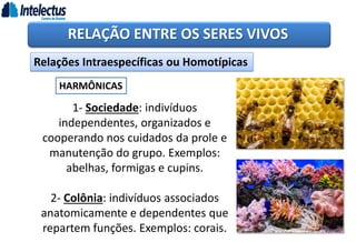 RELAÇÃO ENTRE OS SERES VIVOS
Relações Intraespecíficas ou Homotípicas
HARMÔNICAS
1- Sociedade: indivíduos
independentes, organizados e
cooperando nos cuidados da prole e
manutenção do grupo. Exemplos:
abelhas, formigas e cupins.
2- Colônia: indivíduos associados
anatomicamente e dependentes que
repartem funções. Exemplos: corais.
 