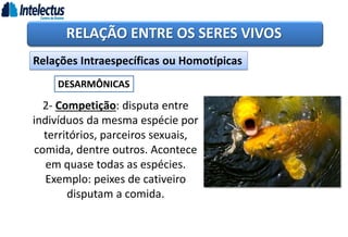 RELAÇÃO ENTRE OS SERES VIVOS
Relações Intraespecíficas ou Homotípicas
DESARMÔNICAS
2- Competição: disputa entre
indivíduos da mesma espécie por
territórios, parceiros sexuais,
comida, dentre outros. Acontece
em quase todas as espécies.
Exemplo: peixes de cativeiro
disputam a comida.
 