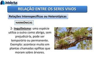 RELAÇÃO ENTRE OS SERES VIVOS
Relações Interespecíficas ou Heterotípicas
HARMÔNICAS
2- Inquilinismo: uma espécie
utiliza a outra como abrigo, sem
prejudicá-la, pode ser
temporário ou permanente.
Exemplo: acontece muito em
plantas chamadas epífitas que
moram sobre árvores.
 
