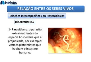 RELAÇÃO ENTRE OS SERES VIVOS
Relações Interespecíficas ou Heterotípicas
DESARMÔNICAS
1- Parasitismo: o parasita
extrai nutrientes da
espécie hospedeira que é
prejudicada, por exemplo:
vermes platelmintos que
habitam o intestino
humano.
 