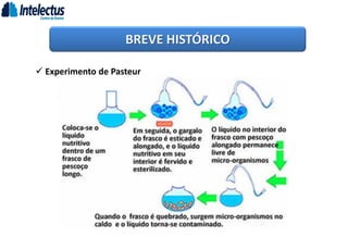 BREVE HISTÓRICO
 Experimento de Pasteur
 