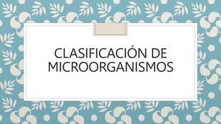 CLASIFICACIÓN DE
MICROORGANISMOS
 