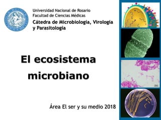 El ecosistema
microbiano
Universidad Nacional de Rosario
Facultad de Ciencias Médicas
Cátedra de Microbiología, Virología
y Parasitología
Área El ser y su medio 2018
 