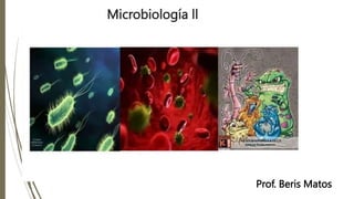 Microbiología ll
Prof. Beris Matos P
 