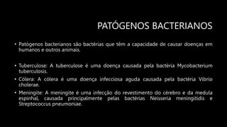 PATÓGENOS BACTERIANOS
• Patógenos bacterianos são bactérias que têm a capacidade de causar doenças em
humanos e outros animais.
• Tuberculose: A tuberculose é uma doença causada pela bactéria Mycobacterium
tuberculosis.
• Cólera: A cólera é uma doença infecciosa aguda causada pela bactéria Vibrio
cholerae.
• Meningite: A meningite é uma infecção do revestimento do cérebro e da medula
espinhal, causada principalmente pelas bactérias Neisseria meningitidis e
Streptococcus pneumoniae.
 