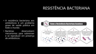RESISTÊNCIA BACTERIANA
• A resistência bacteriana aos
antibióticos é um problema
grave de saúde pública em
todo o mundo.
• Bactérias desenvolvem
mecanismos para sobreviver
e se reproduzir em presença
de antibióticos.
 