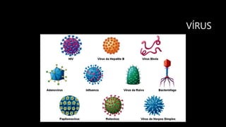 VÍRUS
 