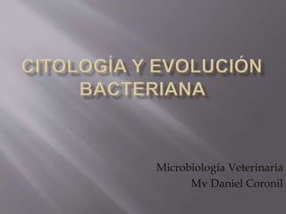 Microbiología Veterinaria
Mv Daniel Coronil
 
