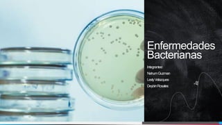 Enfermedades
Bacterianas
Integrantes:
NahumGuzman
LeslyVelazques
DeybinRosales
 