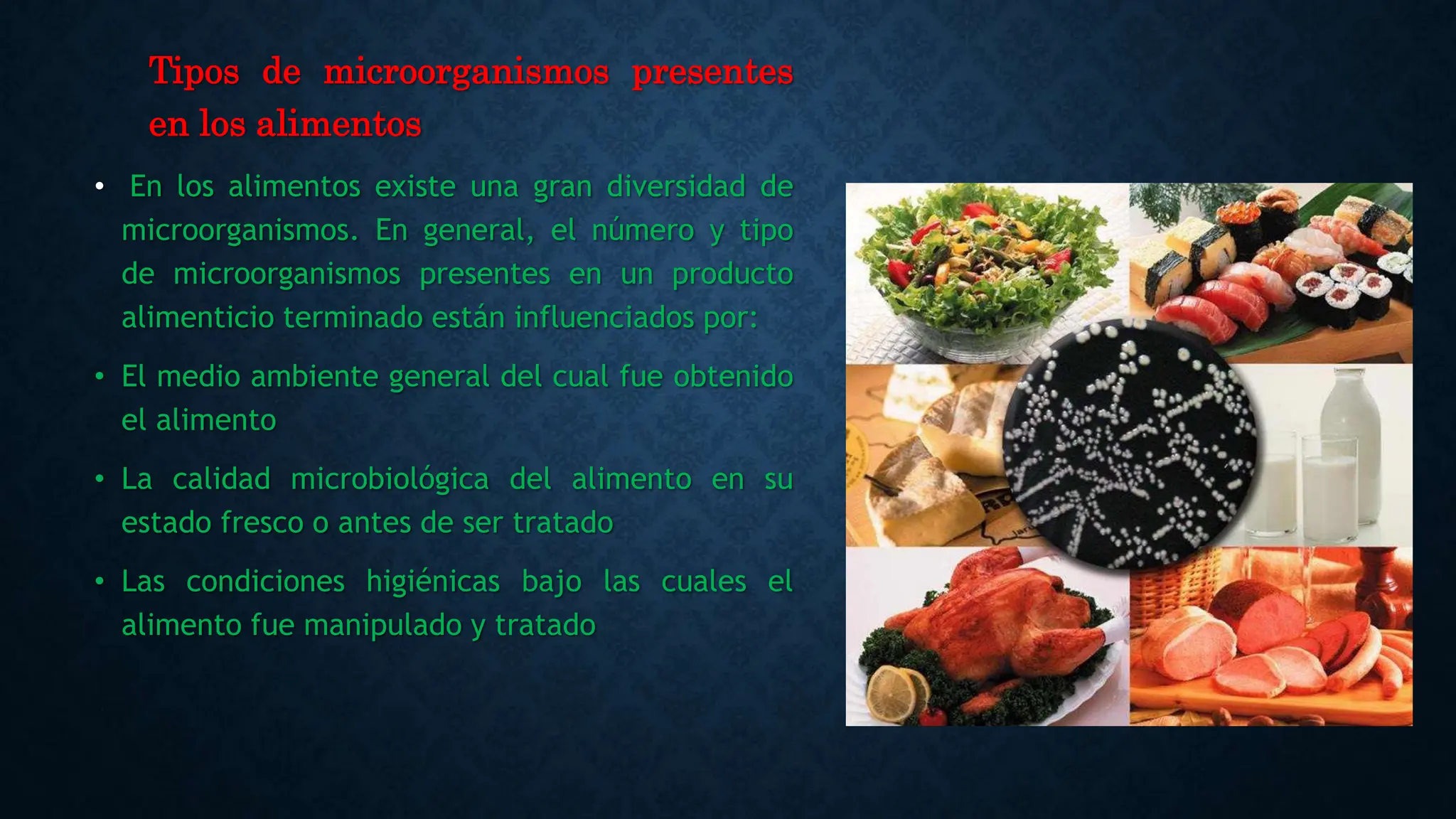 Microbiologia y microorganismos en los alimentos.pptx