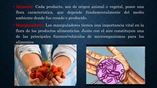 Microbiologia y microorganismos en los alimentos.pptx