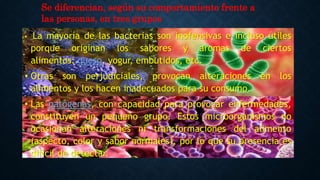 Microbiologia y microorganismos en los alimentos.pptx