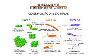 MICROBIOLOGIA - Bactérias, vírus e protozoários.pptx