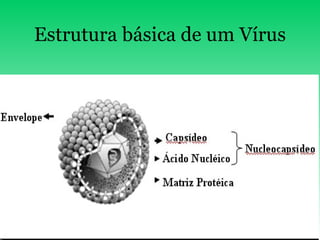 Estrutura básica de um Vírus 