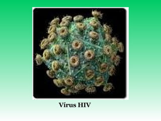 Vírus HIV 