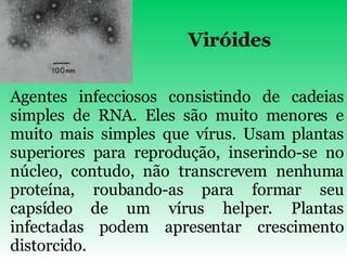 Viróides Agentes infecciosos consistindo de cadeias simples de RNA. Eles são muito menores e muito mais simples que vírus. Usam plantas superiores para reprodução, inserindo-se no núcleo, contudo, não transcrevem nenhuma proteína, roubando-as para formar seu capsídeo de um vírus helper. Plantas infectadas podem apresentar crescimento distorcido.   