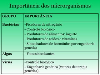 Importância dos microrganismos Controle biológico - Engenharia genética (vetores de terapia genética) Vírus - Fotossintetizantes Algas Fixadoras de nitrogênio - Controle biológico - Produtores de alimentos: iogurte - Produtores de ácidos e vitaminas - Sintetizadores de hormônios por engenharia genética Bactérias  IMPORTÂNCIA GRUPO 