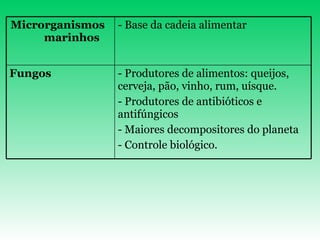 Produtores de alimentos: queijos, cerveja, pão, vinho, rum, uísque. Produtores de antibióticos e antifúngicos Maiores decompositores do planeta - Controle biológico. Fungos - Base da cadeia alimentar Microrganismos          marinhos 