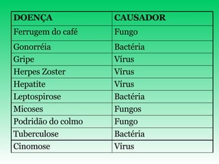 CAUSADOR DOENÇA Vírus Cinomose Bactéria Tuberculose Fungo Podridão do colmo Fungos Micoses Bactéria Leptospirose Vírus Hepatite Vírus Herpes Zoster Vírus Gripe Bactéria Gonorréia Fungo Ferrugem do café 