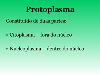 Protoplasma Constituído de duas partes: Citoplasma – fora do núcleo Nucleoplasma – dentro do núcleo 