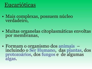Eucarióticas Mais complexas, possuem núcleo verdadeiro, Muitas organelas citoplasmáticas envoltas por membranas, Formam o organismo dos  animais   – incluindo o  Ser Humano ,  das  plantas , dos  protozoários , dos  fungos  e  de algumas  algas . 