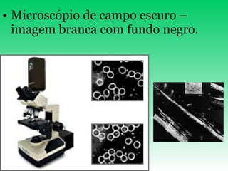 Microscópio de campo escuro – imagem branca com fundo negro. 