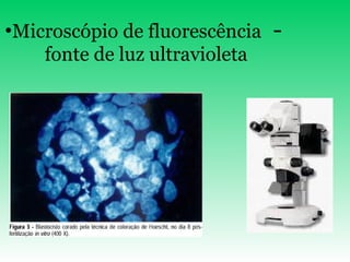 Microscópio de fluorescência   -  fonte de luz ultravioleta 