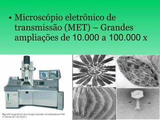 Microscópio eletrônico de transmissão (MET) – Grandes ampliações de  10.000  a  100.000  x 