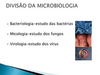    Bacteriologia-estudo das bactérias

   Micologia-estudo dos fungos

   Virologia-estudo dos vírus
 