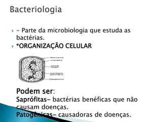    - Parte da microbiologia que estuda as
    bactérias.
   *ORGANIZAÇÃO CELULAR




    Podem ser:
    Saprófitas- bactérias benéficas que não
    causam doenças.
    Patogênicas- causadoras de doenças.
 
