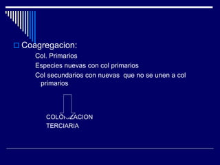  Coagregacion:
Col. Primarios
Especies nuevas con col primarios
Col secundarios con nuevas que no se unen a col
primarios
COLONIZACION
TERCIARIA
 