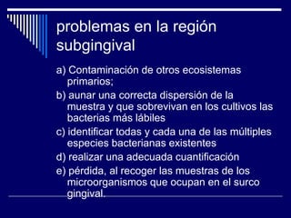 problemas en la región
subgingival
a) Contaminación de otros ecosistemas
primarios;
b) aunar una correcta dispersión de la
muestra y que sobrevivan en los cultivos las
bacterias más lábiles
c) identificar todas y cada una de las múltiples
especies bacterianas existentes
d) realizar una adecuada cuantificación
e) pérdida, al recoger las muestras de los
microorganismos que ocupan en el surco
gingival.
 