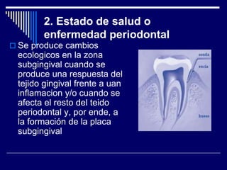 2. Estado de salud o
enfermedad periodontal
 Se produce cambios
ecologicos en la zona
subgingival cuando se
produce una respuesta del
tejido gingival frente a uan
inflamacion y/o cuando se
afecta el resto del teido
periodontal y, por ende, a
la formación de la placa
subgingival
 