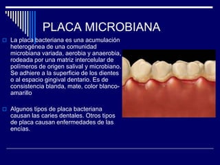 PLACA MICROBIANA
 La placa bacteriana es una acumulación
heterogénea de una comunidad
microbiana variada, aerobia y anaerobia,
rodeada por una matriz intercelular de
polímeros de origen salival y microbiano.
Se adhiere a la superficie de los dientes
o al espacio gingival dentario. Es de
consistencia blanda, mate, color blanco-
amarillo
 Algunos tipos de placa bacteriana
causan las caries dentales. Otros tipos
de placa causan enfermedades de las
encías.
 