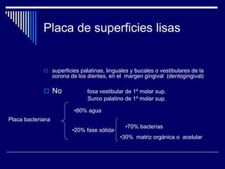 Placa de superficies lisas
 superficies palatinas, linguales y bucales o vestibulares de la
corona de los dientes, en el margen gingival (dentogingival)
 No fosa vestibular de 1º molar sup.
Surco palatino de 1º molar sup.
Placa bacteriana
•80% agua
•20% fase sólida
•70% bacterias
•30% matriz orgánica o acelular
 