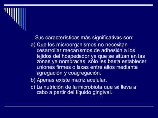 Sus características más significativas son:
a) Que los microorganismos no necesitan
desarrollar mecanismos de adhesión a los
tejidos del hospedador ya que se sitúan en las
zonas ya nombradas, sólo les basta establecer
uniones firmes o laxas entre ellos mediante
agregación y coagregación.
b) Apenas existe matriz acelular.
c) La nutrición de la microbiota que se lleva a
cabo a partir del líquido gingival.
 